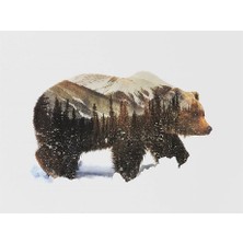 Womb Hobby Ayı ve Kış Sayılarla Boyama Seti 40X50 cm Tuvale Gerili