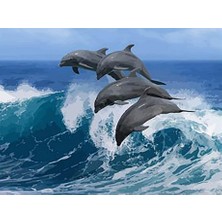 Womb Hobby Yunuslar Sayılarla Boyama Seti 40X50 cm Tuvale Gerili