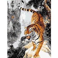 Womb Hobby Bengal Kaplanı Sayılarla Boyama Seti 40X50 cm Tuvale Gerili