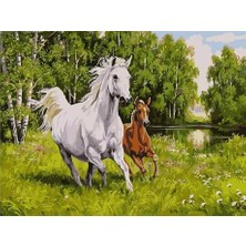 Womb Hobby Kırlarda Dört Nala Sayılarla Boyama Seti 40X50 cm Tuvale Gerili