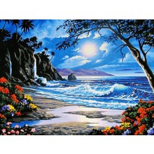 Womb Hobby Sahile Açılan Bahçe Sayılarla Boyama Seti 40X50 cm Tuvale Gerili