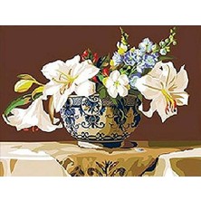 Womb Hobby Zarif Kase Sayılarla Boyama Seti 40X50 cm Tuvale Gerili