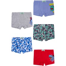 Biyokids Erkek Çocuk Boxer 5 Li Paket Karışık Renk BYO2594