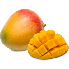 Yavuz Fidancılık Mango Fidanı