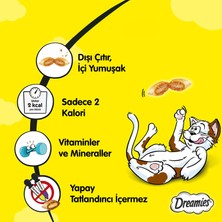 Dreamies Tavuklu Kedi Ödülü 6 x 60 gr