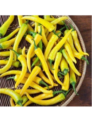 Köy Tohumları 50 Adet Tohum Nadir Turşuluk Sarı Yemelik Süs Biberi Tohumu Sürpriz Hediye Tohum