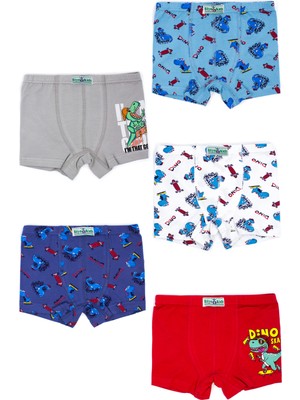 Biyokids Erkek Çocuk Boxer 5 Li Paket Karışık Renk BYO2602