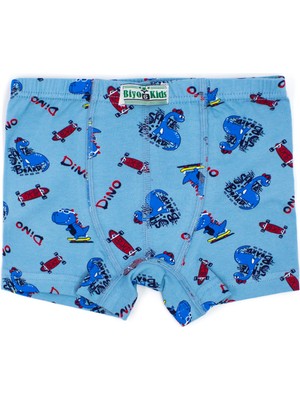 Biyokids Erkek Çocuk Boxer 5 Li Paket Karışık Renk BYO2602