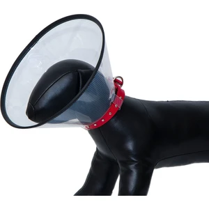 Elizabeth Köpek Yakalığı 20 Cm
