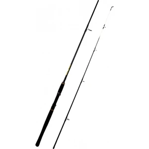 Bauer Barca 2.40 mt 8-30 gr Spin Kamış