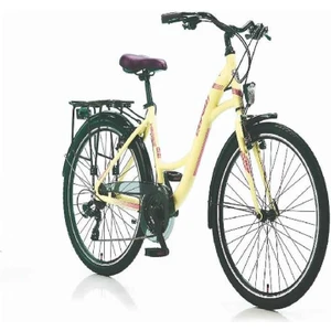 Merrie 24 Jant Şehir Bisikleti 21 Vites Shimano Set