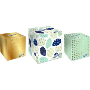 Professional Butik Kutu Mendil 48'li X3