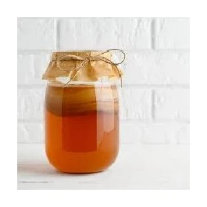 Fiyonya Food Kombucha Mantarı 330 ml Kombu Çayı + 1 Adet Mantar Scoby