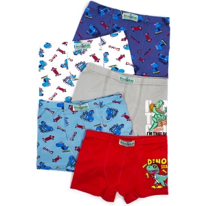 Erkek Çocuk Boxer 5 Li Paket Karışık Renk BYO2602