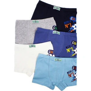 Erkek Çocuk Boxer 5 Li Paket Karışık Renk BYO2625