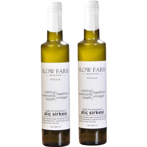 Slow Farm Fermente Alıç Sirkesi 2'li