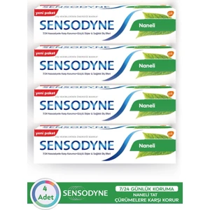 Diş Macunu Mint Nane 100 ml x 4 Adet