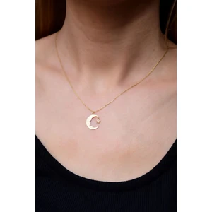 Papatya Silver 925 Ayar Gümüş Gold Kaplama Atatürk Silüet Kolye