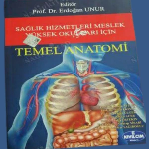 Temel Anatomi