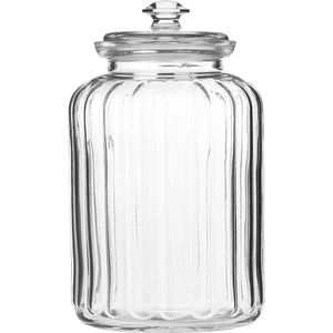 Vıva Kavanoz 2500 Cc