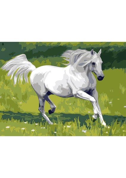 Ahal Teke Sayılarla Boyama Seti 40X50 cm Tuvale Gerili
