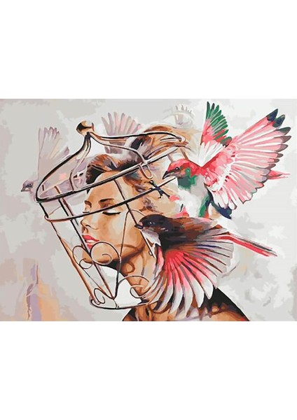 Kafesteki Güzel Sayılarla Boyama Seti 40X50 cm Tuvale Gerili