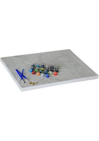 Kafesteki Güzel Sayılarla Boyama Seti 40X50 cm Tuvale Gerili