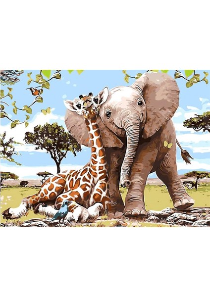 Womb Hobby Safari Sayılarla Boyama Seti 40X50 cm Tuvale Gerili