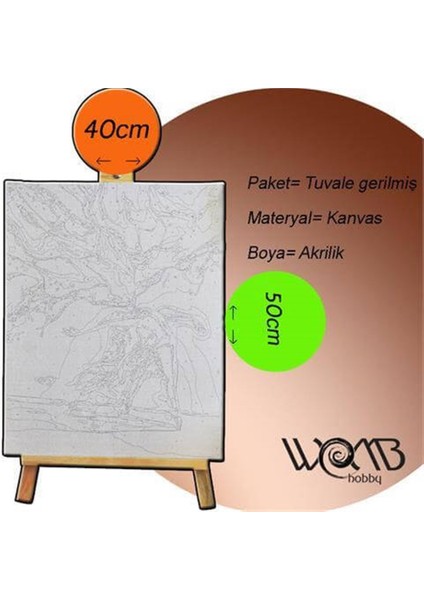 Womb Hobby Karlar Içindeki Kasaba Sayılarla Boyama Seti 40X50 cm Tuvale Gerili