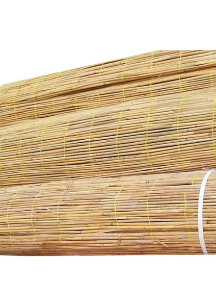 Kamış Hasır 2,50 x 5m Doğal