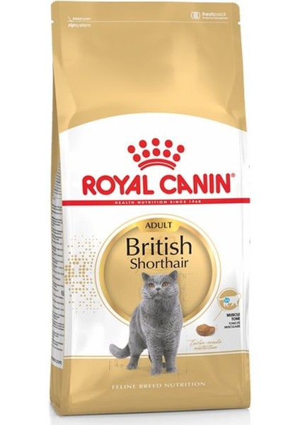 British Shorthair Yetişkin Kedi Maması 4 kg