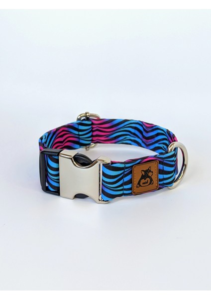 Turkuaz Köpek Boyun Tasması