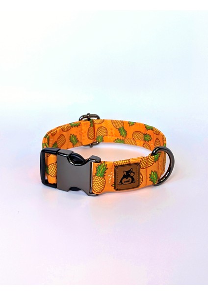Pine Köpek Boyun Tasması