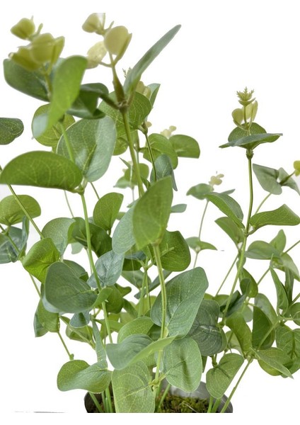 Yapay Çiçek Okaliptus Siyah Metal Saksılı Dekoratif Süs Çiçeği modelleri