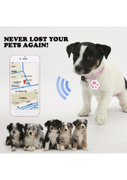 Akıllı Köpek Kedi Mini Gps Izci Cihazı Uygulaması Anti-Kayıp Diş Mavisi (Yurt Dışından)