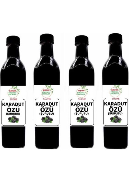 4 Adet Ev Yapımı Karadut ÖZÜ (4X700gr)