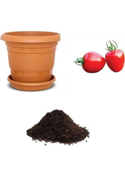 Ithal Tomatoberry Domates Tohumu Ekim Seti
