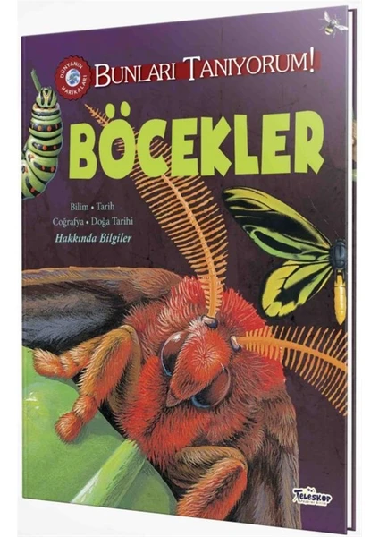 Böcekler - Bunları Tanıyorum! - Jane Parker