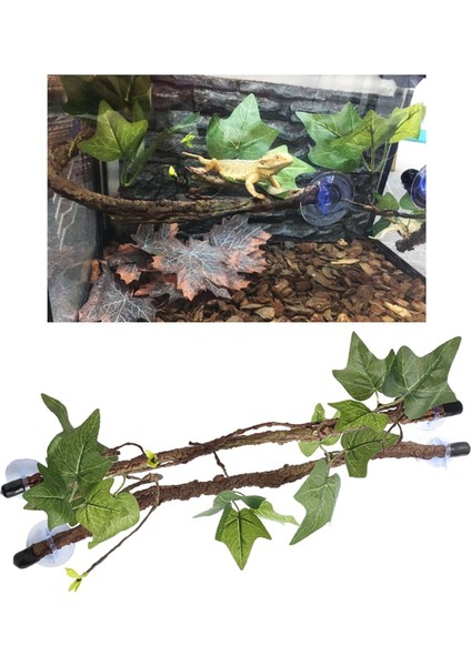 Sürüngenler Bitkiler Snake Akvaryum Teraryum Için Amfibi Habitat Hideout