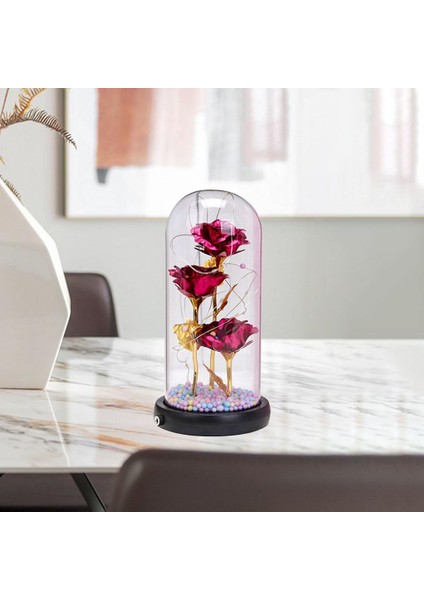 LED Işık Hediyeler ile Cam Kubbe Içinde Güzellik ve Canavar Gül Çiçek Kız Kırmızı Gül(Yurt Dışından)