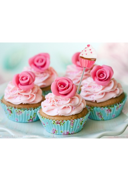 Kek Test Cihazı Probe Şiş Pişirme Pişirme Ekmek Aracı Cupcake Muffin Için 1 Adet indirimleri