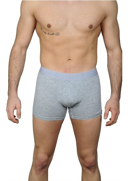 1020 Erkek Modal Boxer Gri