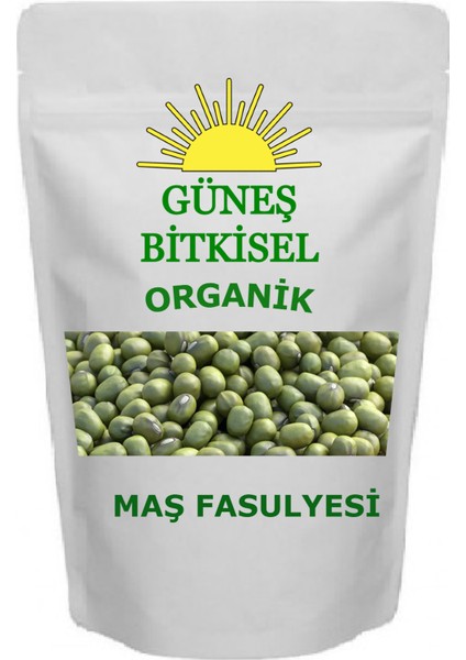 Maş Fasulyesi