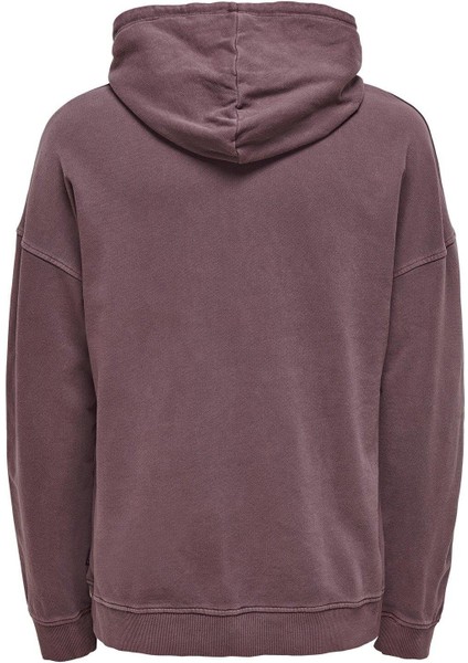 Erkek Kapüşonlu Sweatshirt Hoodie 22020931
