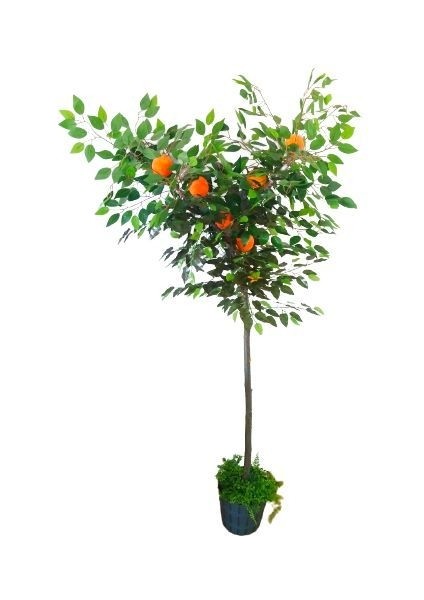 Yapay Portakal Ağacı 1.90 Metre Boyunda Meyve Narenciye Ağacı