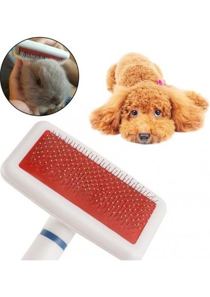 Beyaz Renk Kedi Köpek Evcil Hayvan Telli Fırçası Tarak Beyaz fırsatları