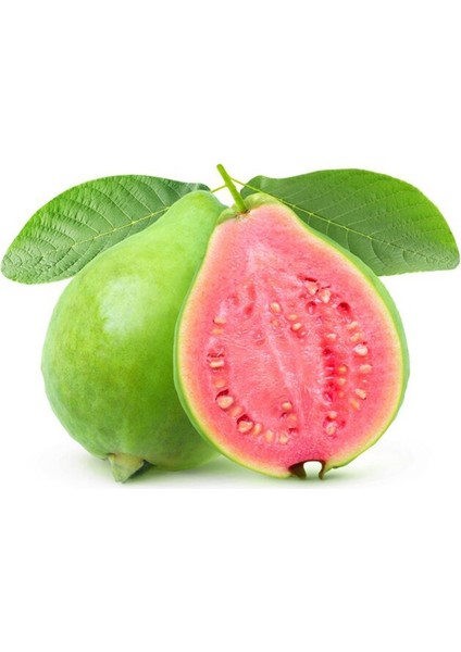 Yavuz Fidancılık Elma Guavası (Psidium Guava) Fidanı