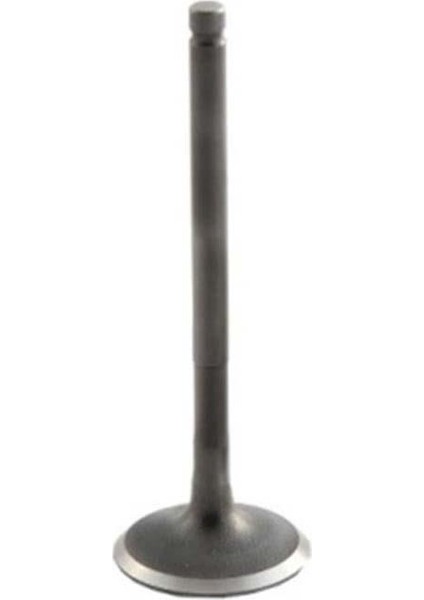 Bmw Uyumlu M43 ve M73 Motor Egzoz Subap Tkm 8 Valf 11341739113