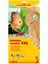 Catappa Yaprağı Xxl 32 cm (10 Adet) 1