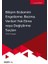 Bilişim Sistemini Engelleme, Bozma, Verileri Yok Etme Veya Değiştirme Suçları &#40;tck M.244&#41; - İrem Geçmez 1